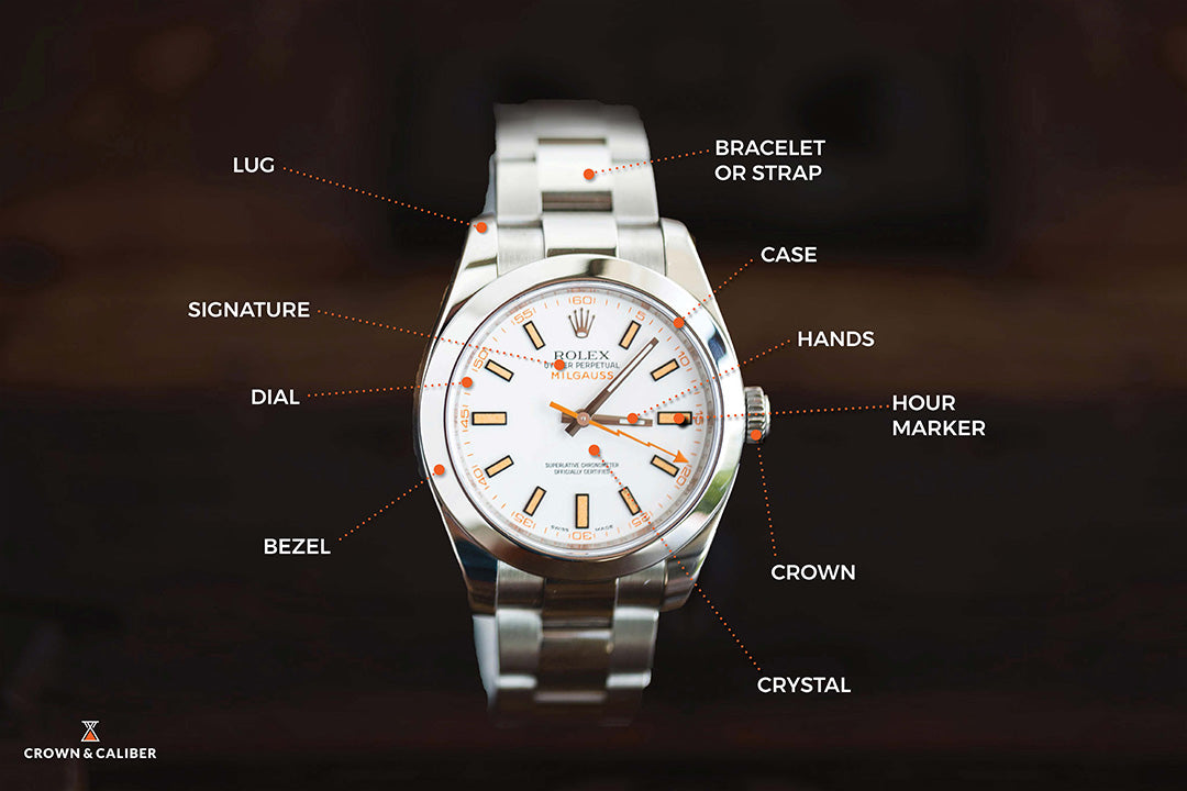 Basic Watch Anatomy